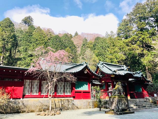 箱根神社